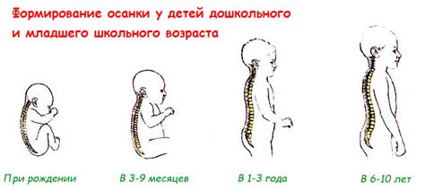 Как развивается осанка у малыша