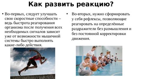 Как реагировать на возможную реакцию питомца