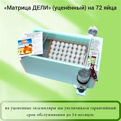 Как собрать инкубатор Матрица Дели