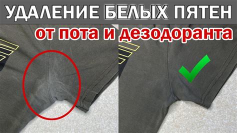 Как сохранить безупречный вид юпитера: секреты предотвращения пятен на вашей одежде