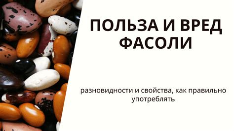 Как сохранить питательные свойства фасоли при прогреве в микроволновке