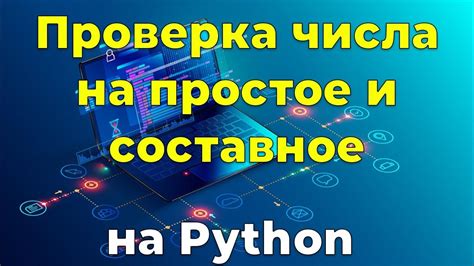 Как увеличить число на проценты в Python