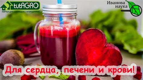 Как употреблять красную свеклу перед сном