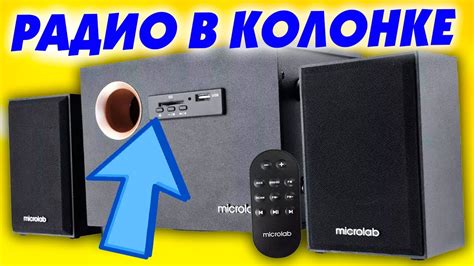 Как установить и настроить радио в террариуме: пошаговая инструкция