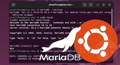 Как установить MariaDB на Ubuntu: подготовка