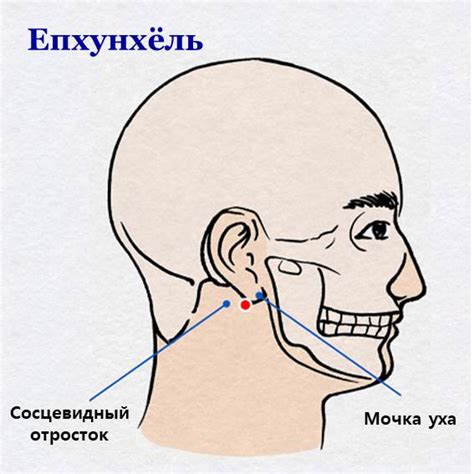 Как ухаживать за мочкой уха