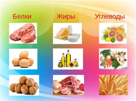 Калорийность и содержание белка в холодце
