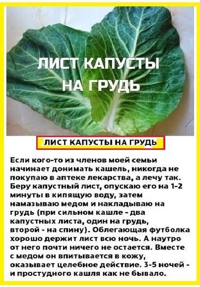 Капустный лист как средство
