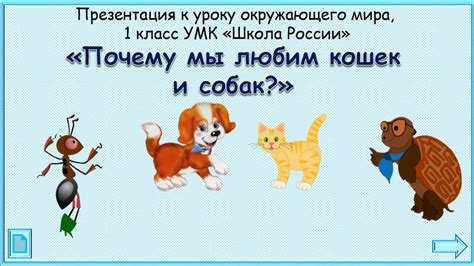 Категории участия для обработанных домашних питомцев
