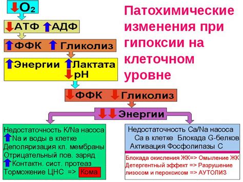 Кислородное голодание тканей: цвет крови от кислорода