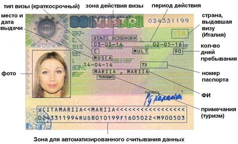 Классификация визитов в Корею из РФ: категории виз