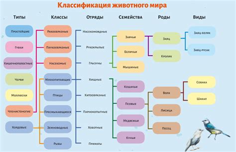Классификация и виды моторчиков