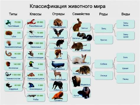 Классификация птиц по экологическим признакам