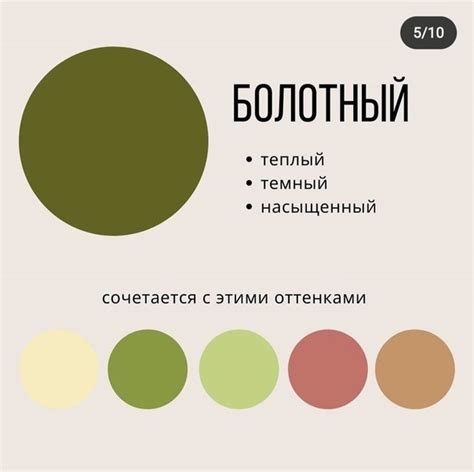 Ключевая роль выбора цветовой гаммы в создании уникального облика веб-страницы