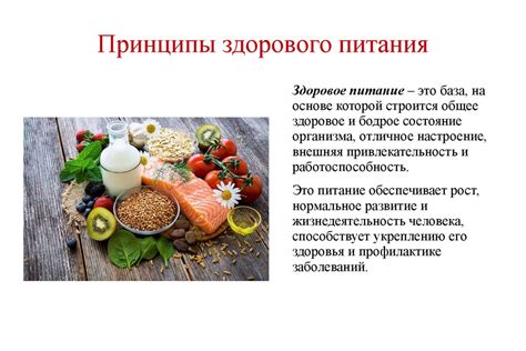 Ключевые принципы здорового питания для энергичного и красивого шарпея