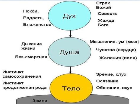 Ключевые черты души и духа