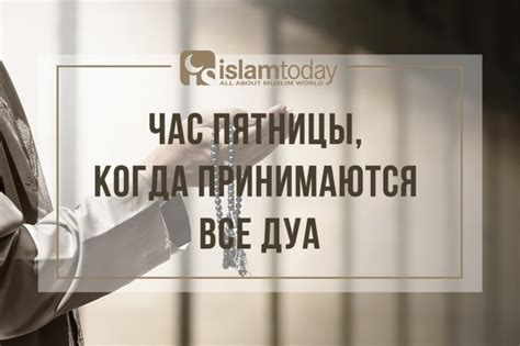 Когда наступает время приостановить трансляцию в социальной сети и почему это играет важную роль