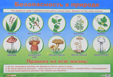 Конкуренция с другими растениями и грибами