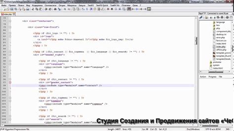 Контактные данные в шапке
