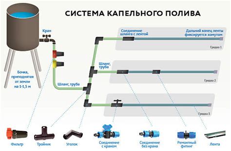 Контроль качества почвы и полива