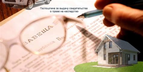Контроль над имуществом: наследство и дарение