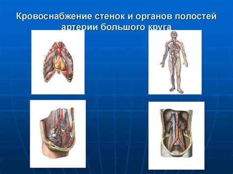 Коррекция круга и выравнивание стенок