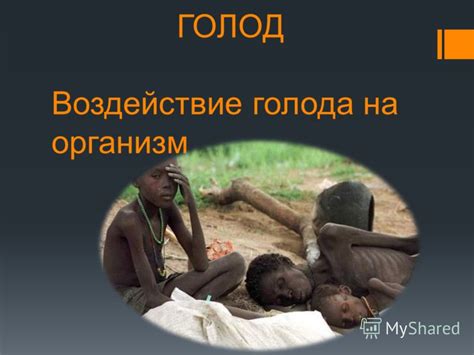 Краткий обзор голода как метода воздействия на организм