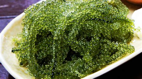 Лечебные свойства для организма и кожи