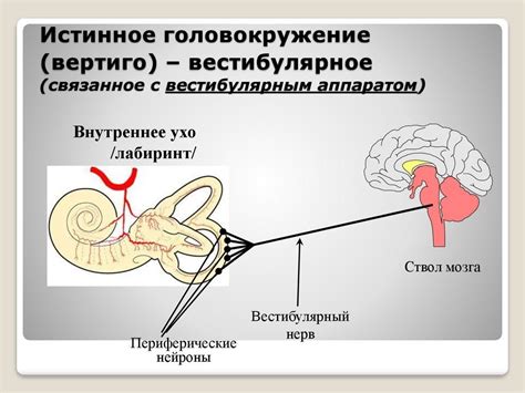 Лечение нарушения вестибулярного аппарата