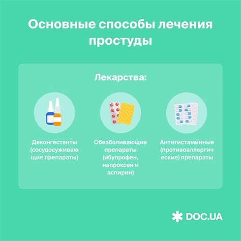 Лечение простуды у домашней питомицы