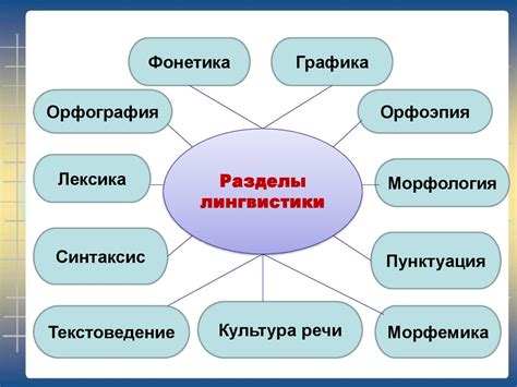 Лингвистика: типы разделов и методы исследований