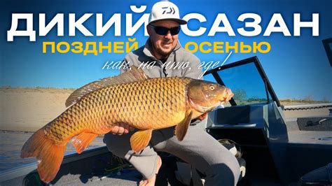 Ловим сазана осенью в пруду: основные моменты