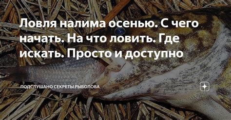 Ловля налима на Ниле: секреты успеха