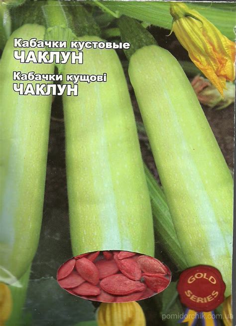 Лучшие сорта кабачков для приготовления изысканной икры: выбираем правильно