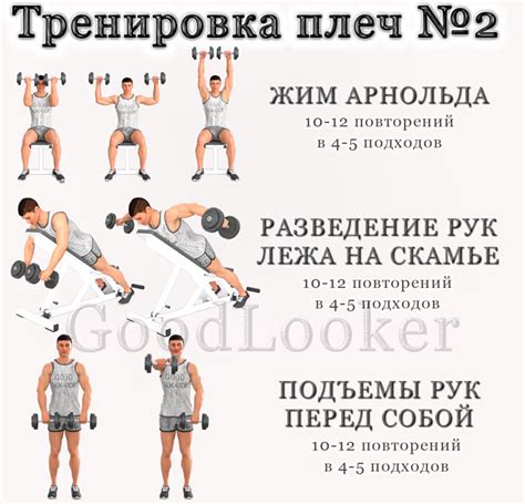 Лучшие упражнения с гантелями