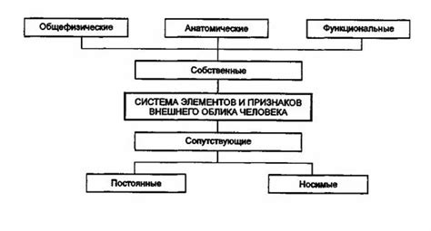 Магические превращения: эволюция внешнего облика и функций поросли