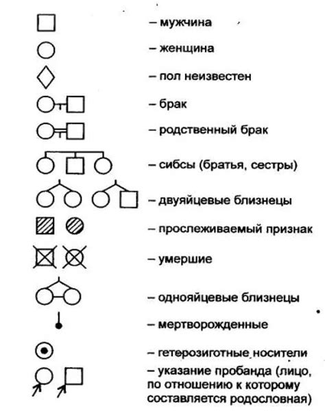 Магия имени в родословной