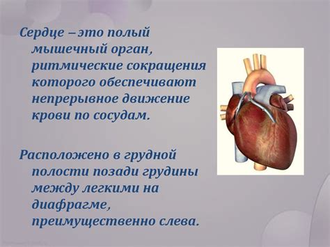 Медикаментозное лечение: методы борьбы с неустойчивостью при ослабленной функции сердца