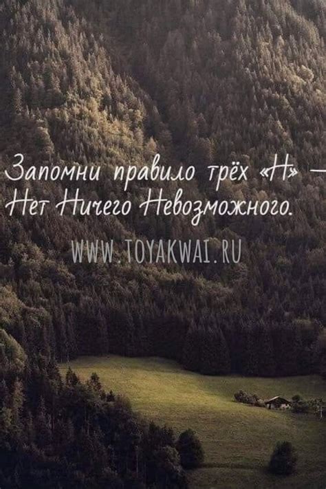Медитация и растяжка