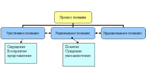 Медицина: основные ступени академического пути