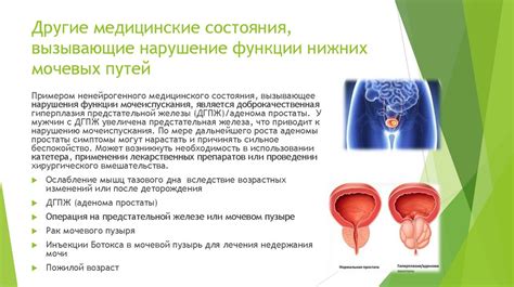 Медицинские состояния, вызывающие зелёный оттенок выделений