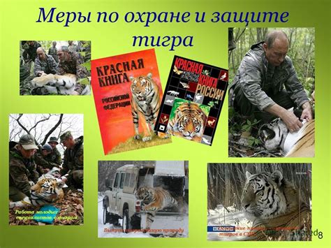 Меры по охране белых тигров