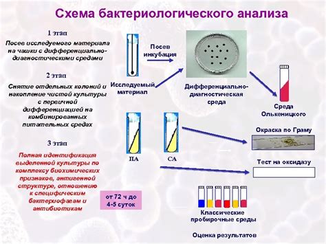 Методика хроматографического анализа в лаборатории