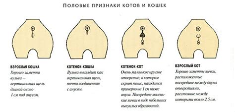 Методы биологического выявления пола у голцов