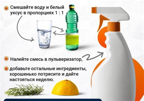 Методы и средства для поддержания блеска и чистоты