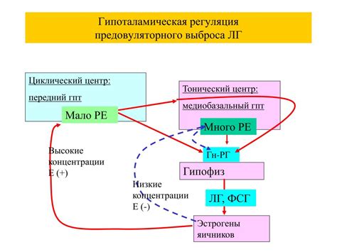 Методы лечения нарушения функции размножения у женщин