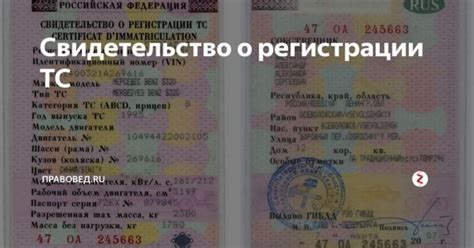 Методы определения серии и номера СТС автомобиля