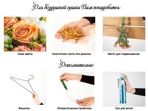 Методы сушки растений