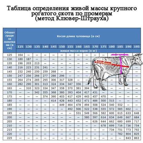 Метод использования ангулярной массы для определения веса эспандера