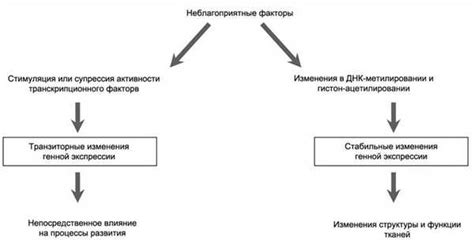 Механизмы задержки переводов